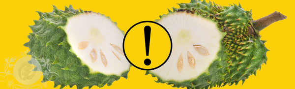The Truth About Soursop (Annona Muricata)